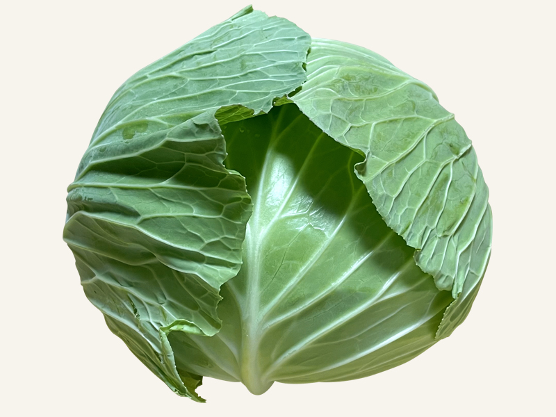 キャベツ